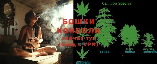 дмт Киреевск