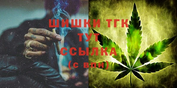 шишки Лабытнанги
