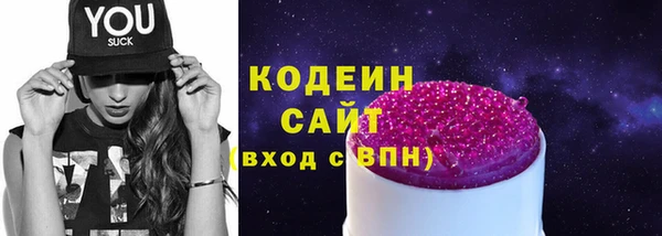 шишки Лабытнанги