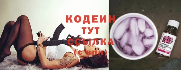 МДПВ Лагань