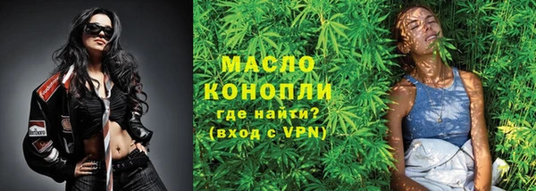 шишки Лабытнанги
