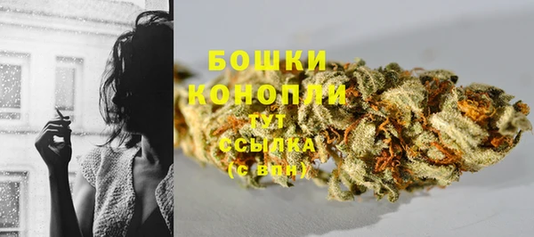 МДПВ Лагань