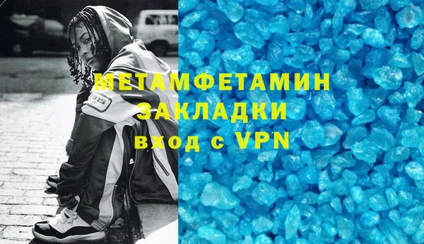 шишки Лабытнанги