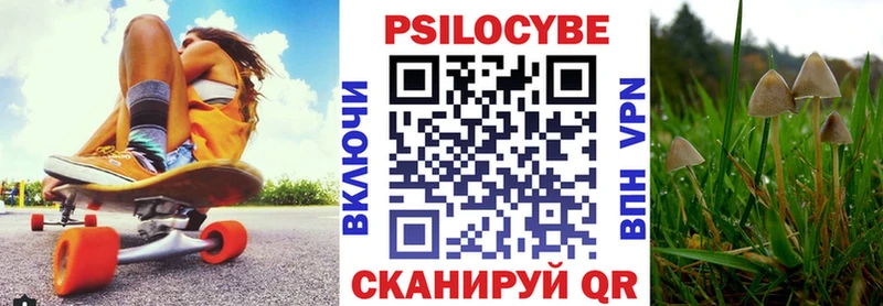 Псилоцибиновые грибы мицелий  наркотики  mega как зайти  Котельнич 