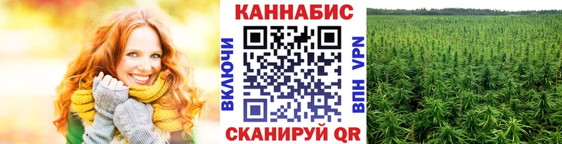 дарнет шоп  Котельнич  Канабис тримм 